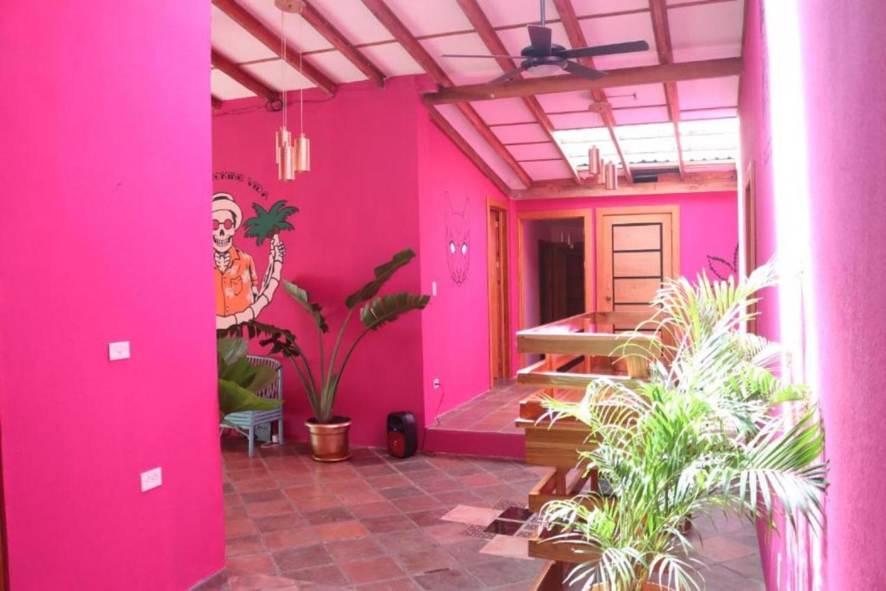 Planet B - Adults Only Manuel Antonio